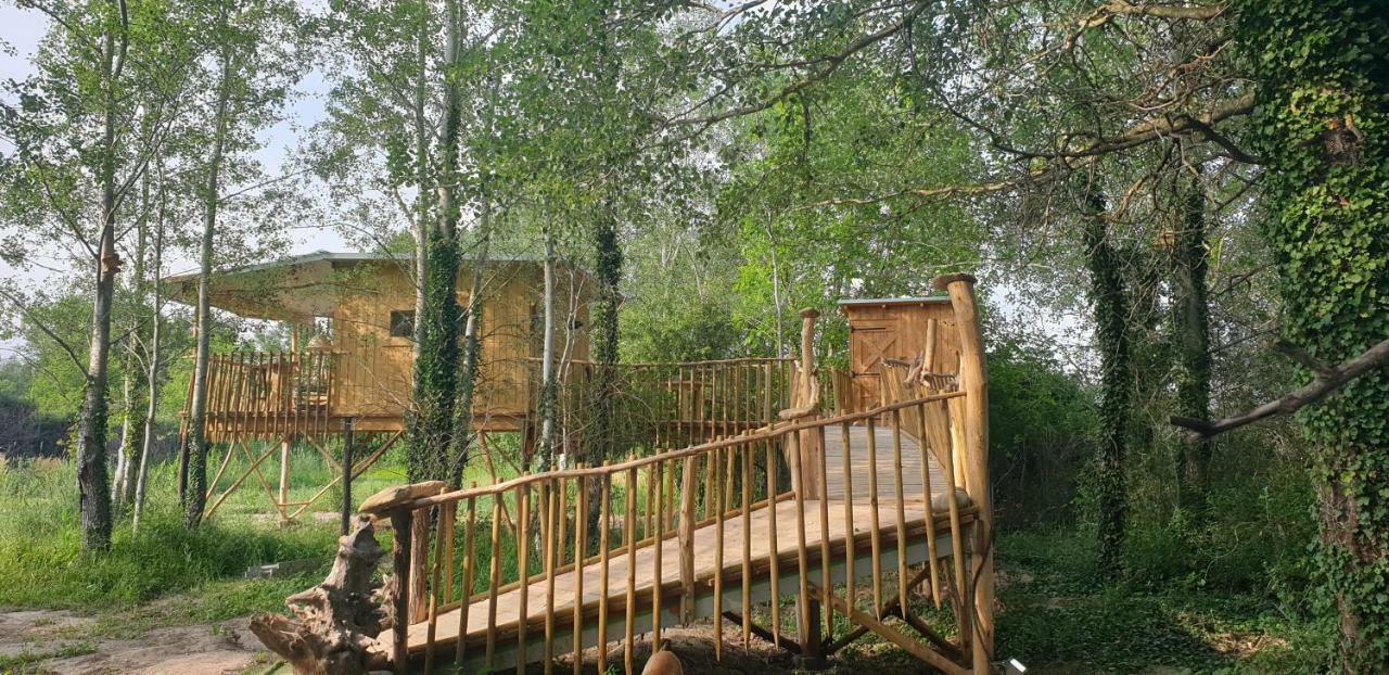 La Cabane Perchee Villelaure Luaran gambar